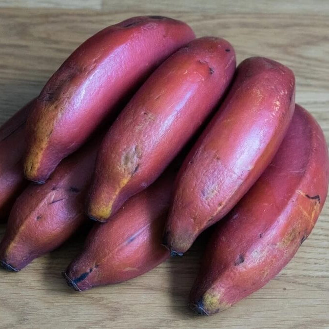 Red Banana Seeds