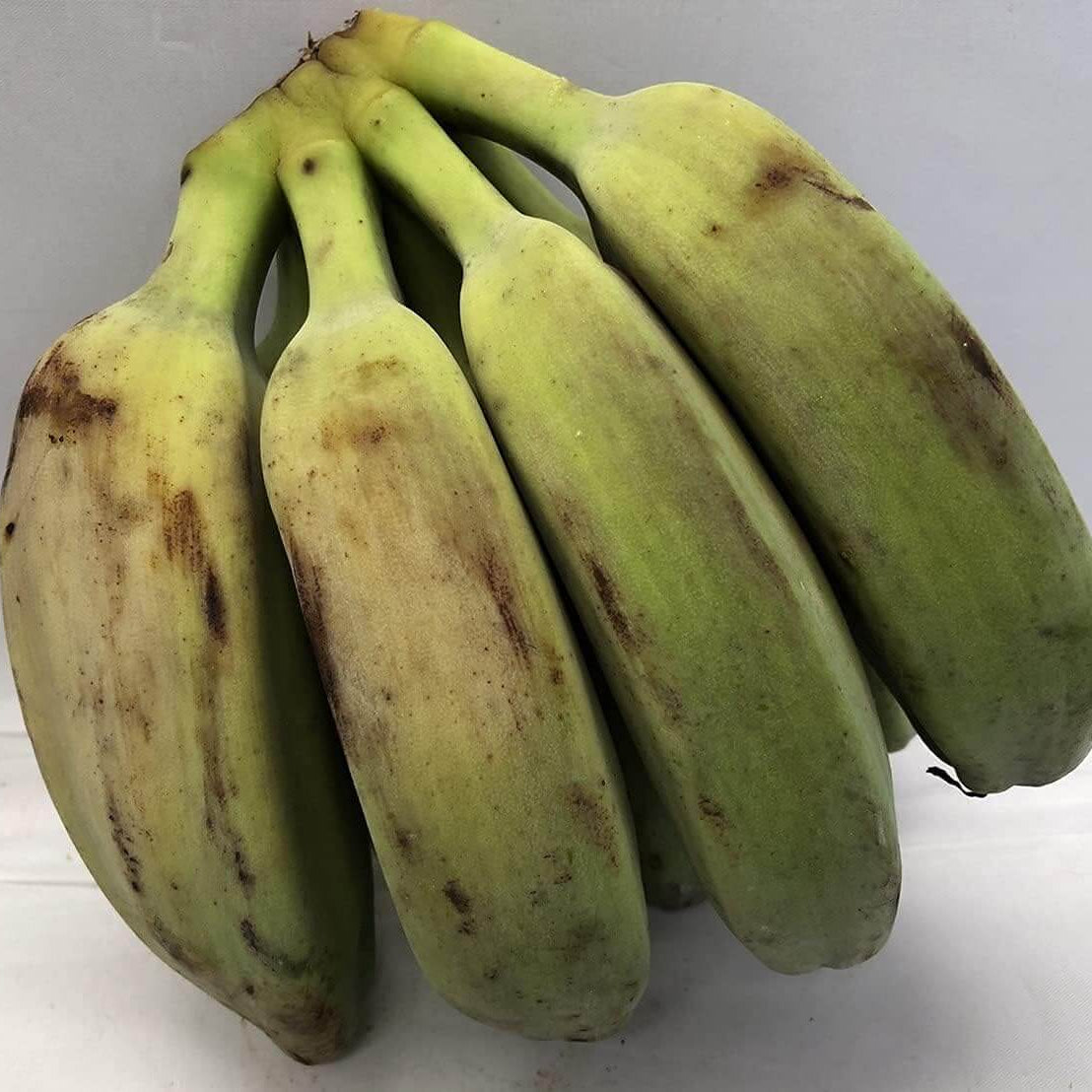 Saba Banana Seeds