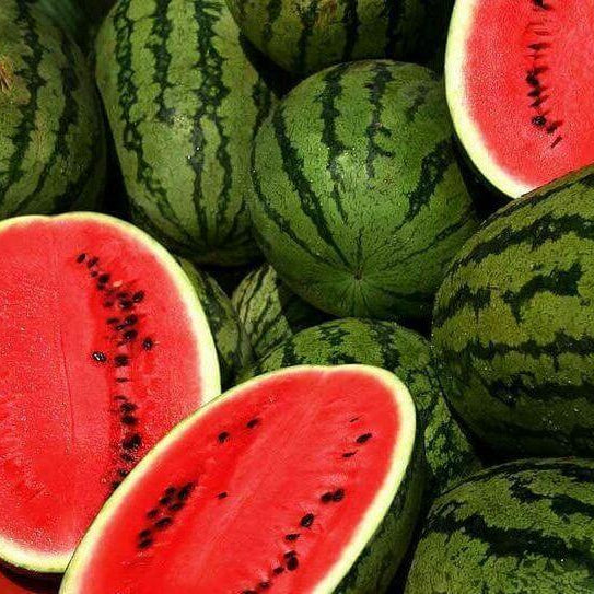 Sangria Watermelon Seeds