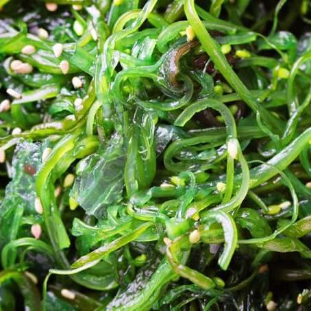 Seaweed Seeds - Vegetable Plant for Home Gardens