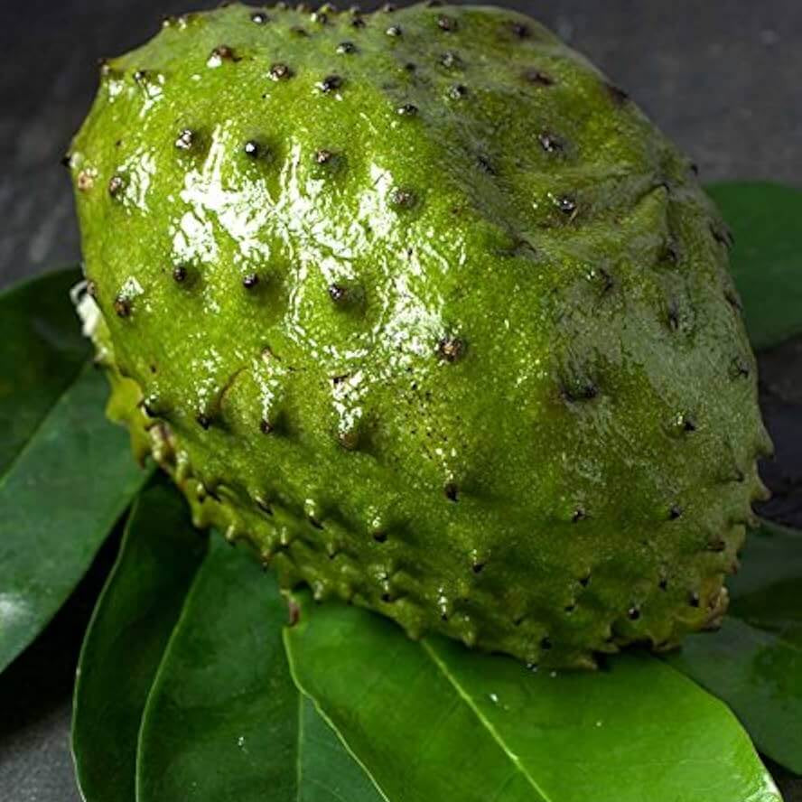 Soursop Seeds