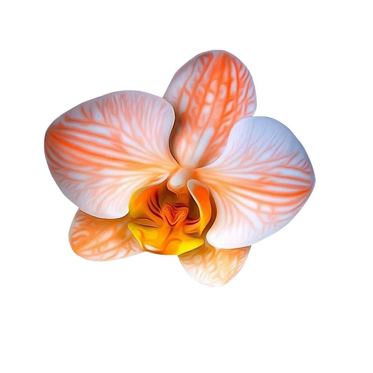 White Orange Orchid Seeds