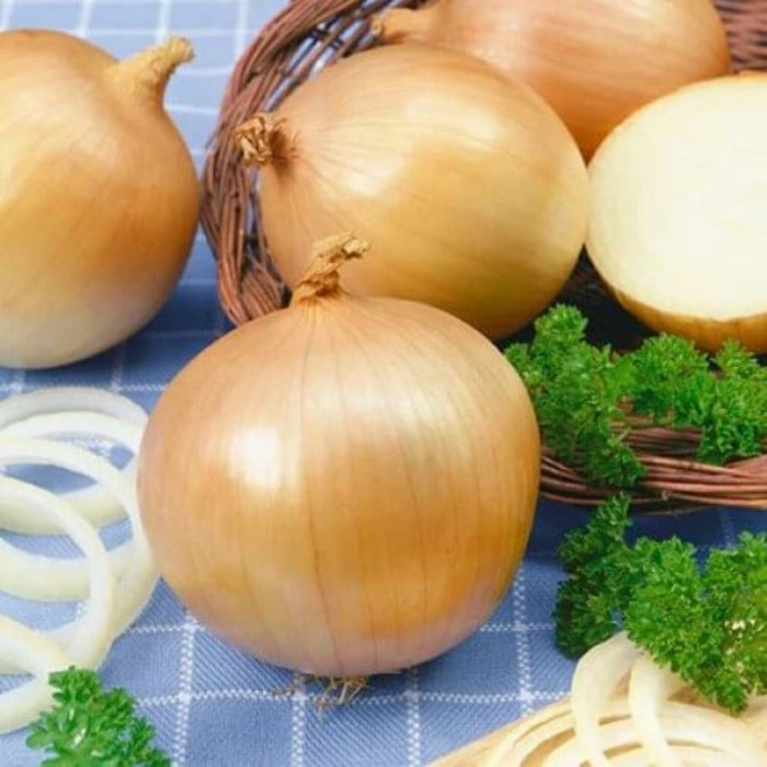Yellow Granex onion seeds - Vegetable Plant