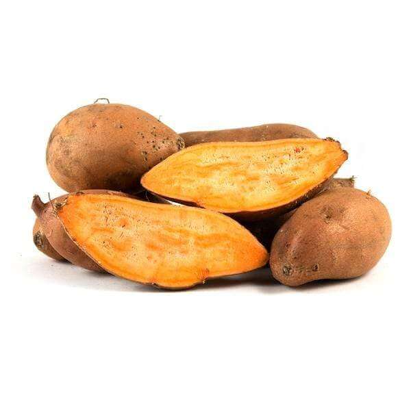Jewel Sweet Potato Seeds - Vegetable Plant
