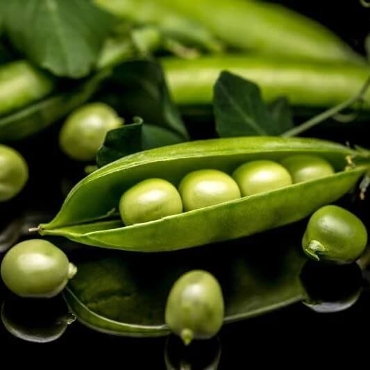 pea egg seeds