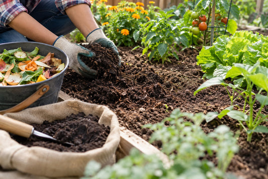 Hands adding homemade compost to garden soil, with a bucket of vegetable scraps and vegetable plants growing nearby.