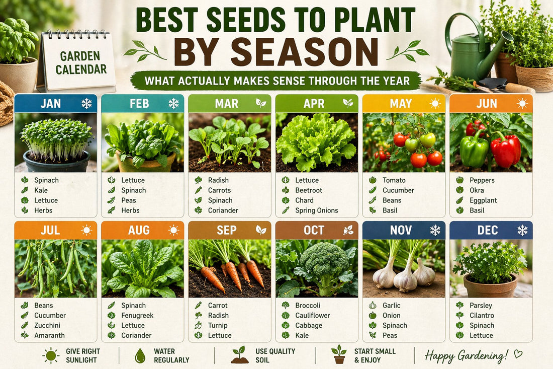 year round planting guide showing best vegetables to grow each month