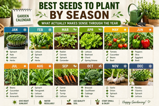 year round planting guide showing best vegetables to grow each month