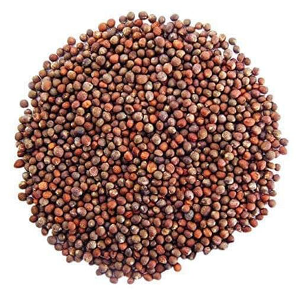 Catskill Brussels Sprout Seeds - Vegetable Plant