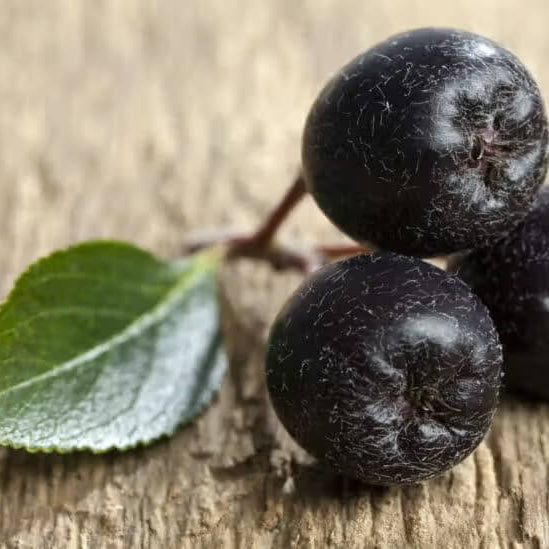 Acai Seeds