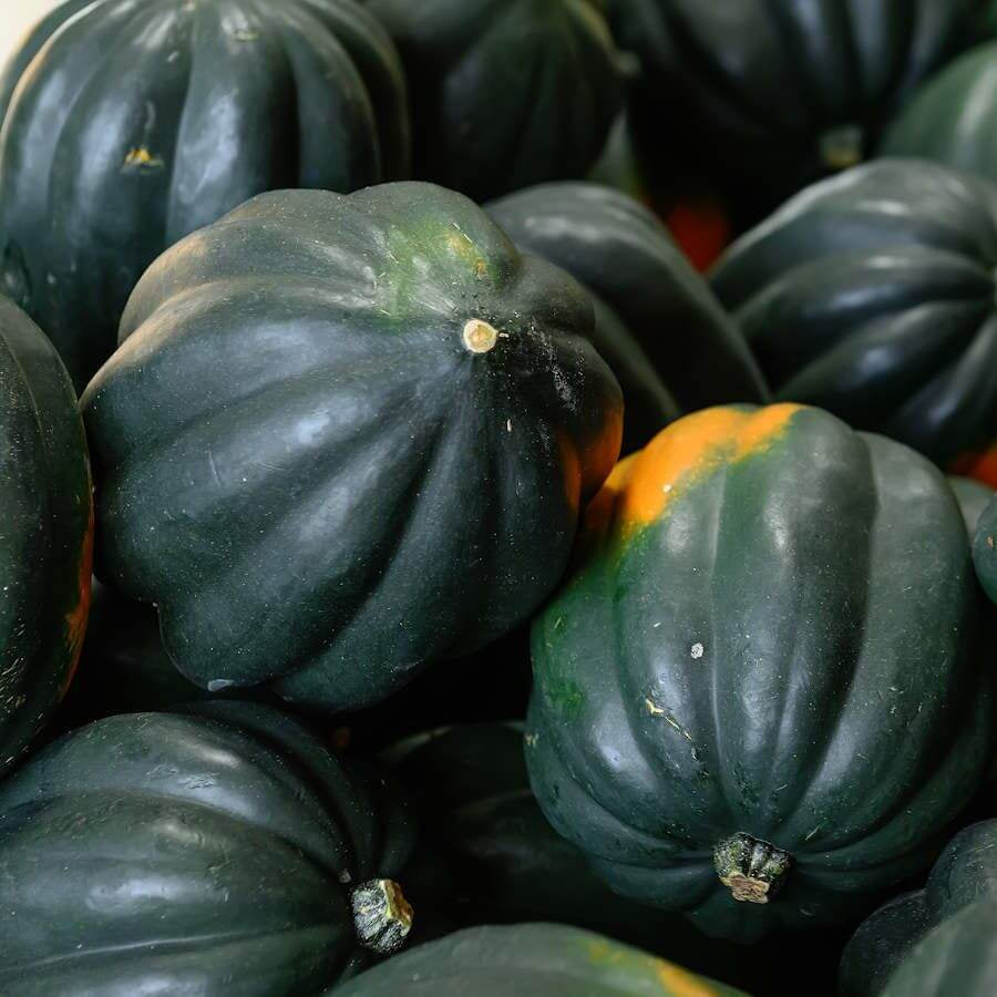 Acorn Squash Seeds