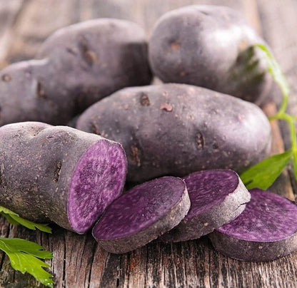 Adirondack Blue Potato Seeds - Vegetable Plant