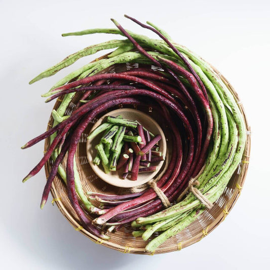 Adzuki Bean Seeds - Vegetable Plant