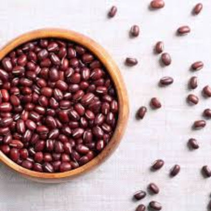 Adzuki Bean Seeds - Vegetable Plant