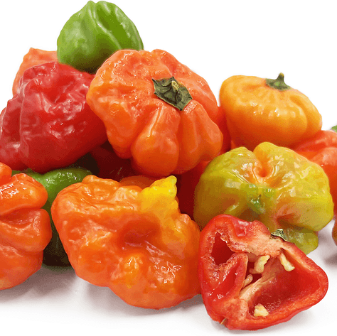 Aji Cubano Dulce Cachucha Pepper Seeds
