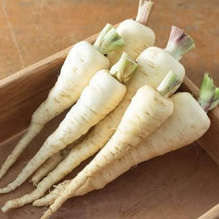 Albion Parsnip Seeds