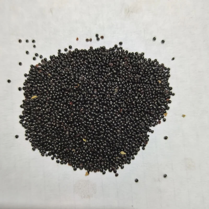 Amaranth Seeds