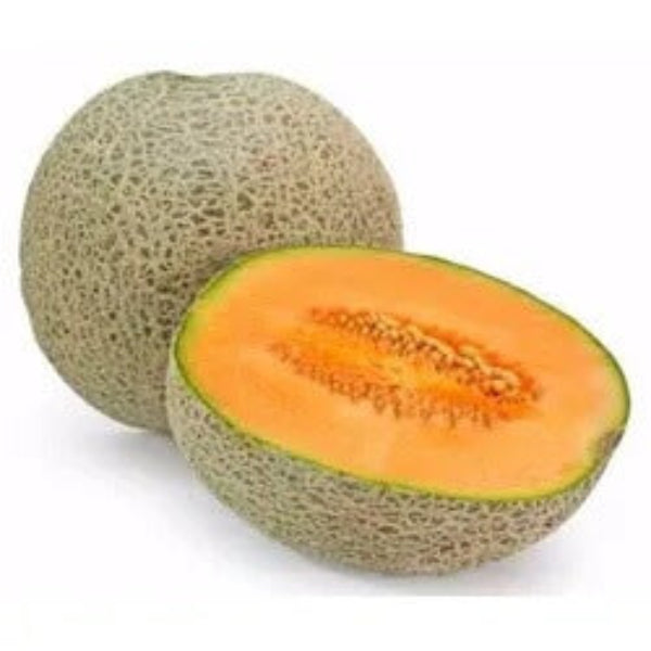 Ambrosia Cantaloupe Seeds - Fruit Plant
