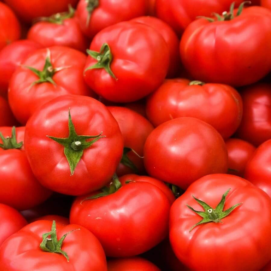 Amela Tomato Seeds - Heirloom Vegetable Plant for Home Gardens