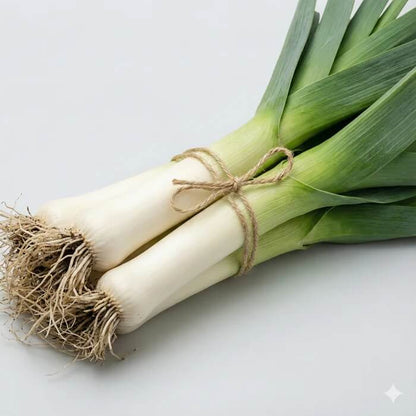 American flag leek seeds - Vegetable Plant