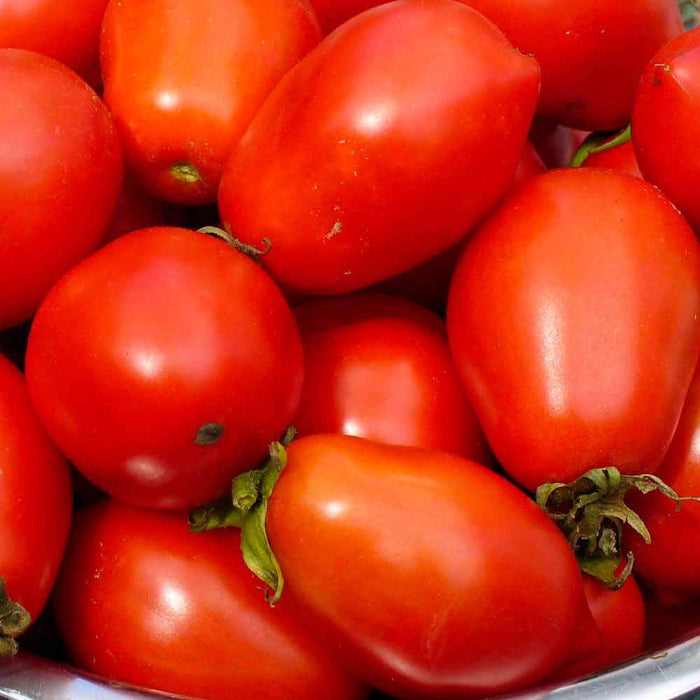 Amish Paste tomato seeds - Vegetable Plant