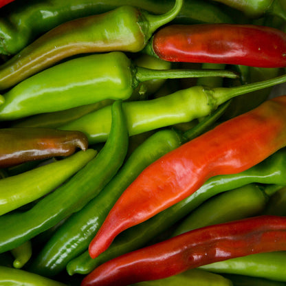 Anaheim Pepper Seeds  - Vegetable Plant 