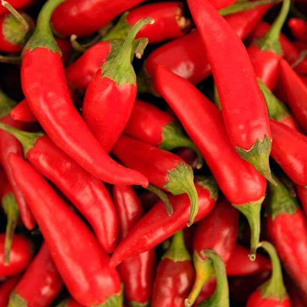Apache Pepper Seeds - Heirloom Vegetable Plant for Home Gardens