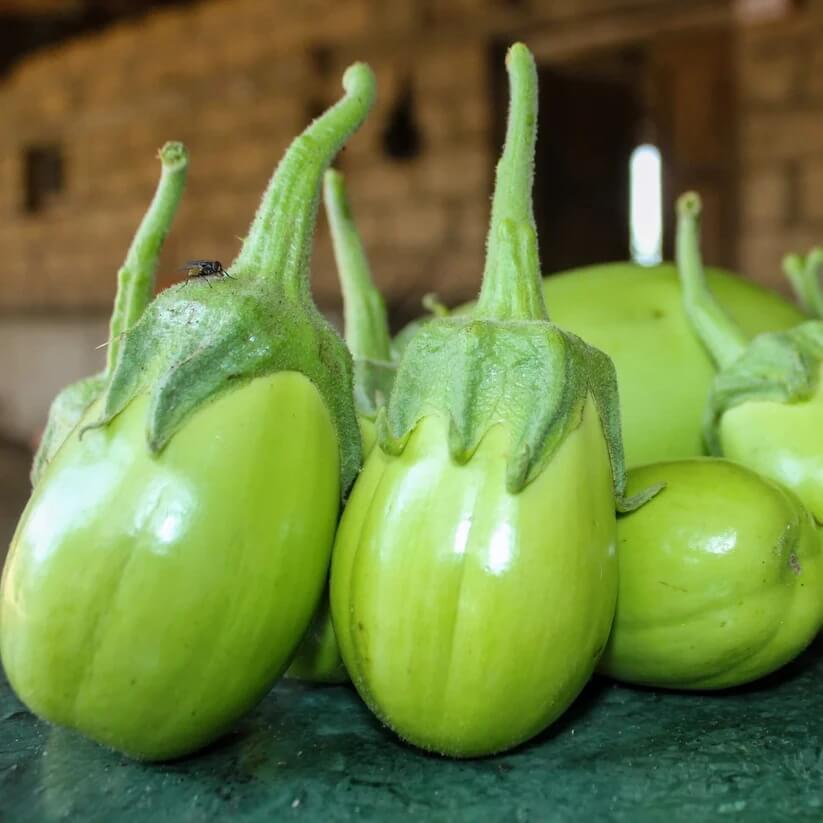 Applegreen Eggplant Seeds 