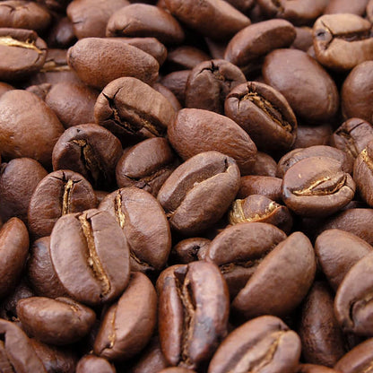 Arabian Coffee Seeds