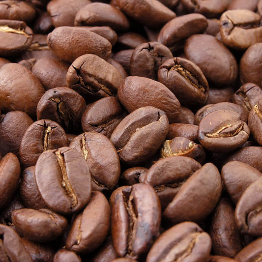 Arabian Coffee Seeds