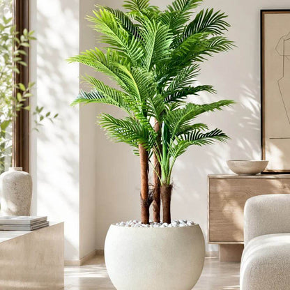 Areca Seeds - Heirloom Flower Plant for Home Gardens
