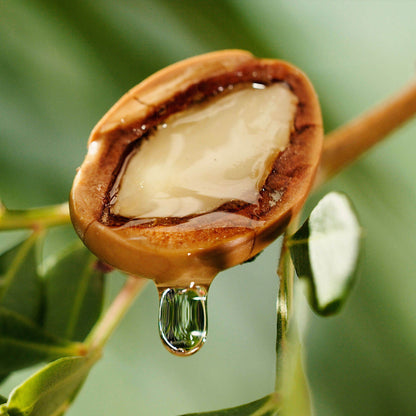 Argan Oil Seeds - Tree Seeds for Home Gardens