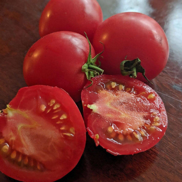 Arkansas Traveler Tomato Seeds - Vegetable Plant