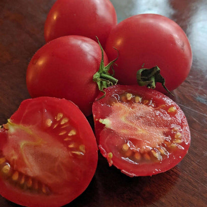Arkansas Traveler Tomato Seeds - Vegetable Plant