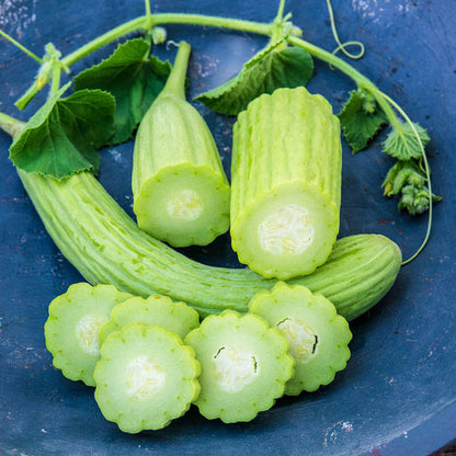 Armenian cucumber seeds - Vegetable Plant
