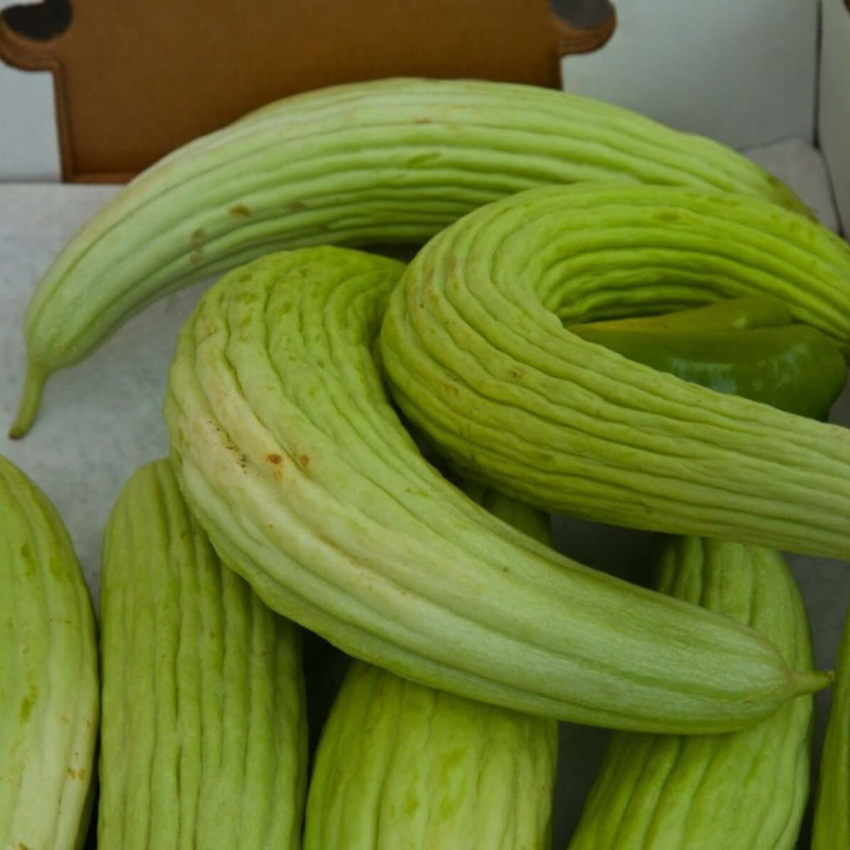 Armenian cucumber seeds - Vegetable Plant