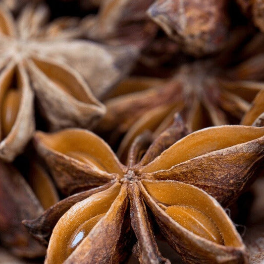 Aromatic Spice Star Anise Seeds - Herbal Plant