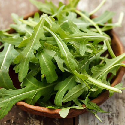 Arugula seeds - Vegetable Plant