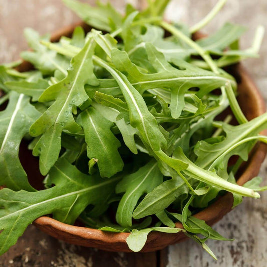 Arugula seeds - Vegetable Plant