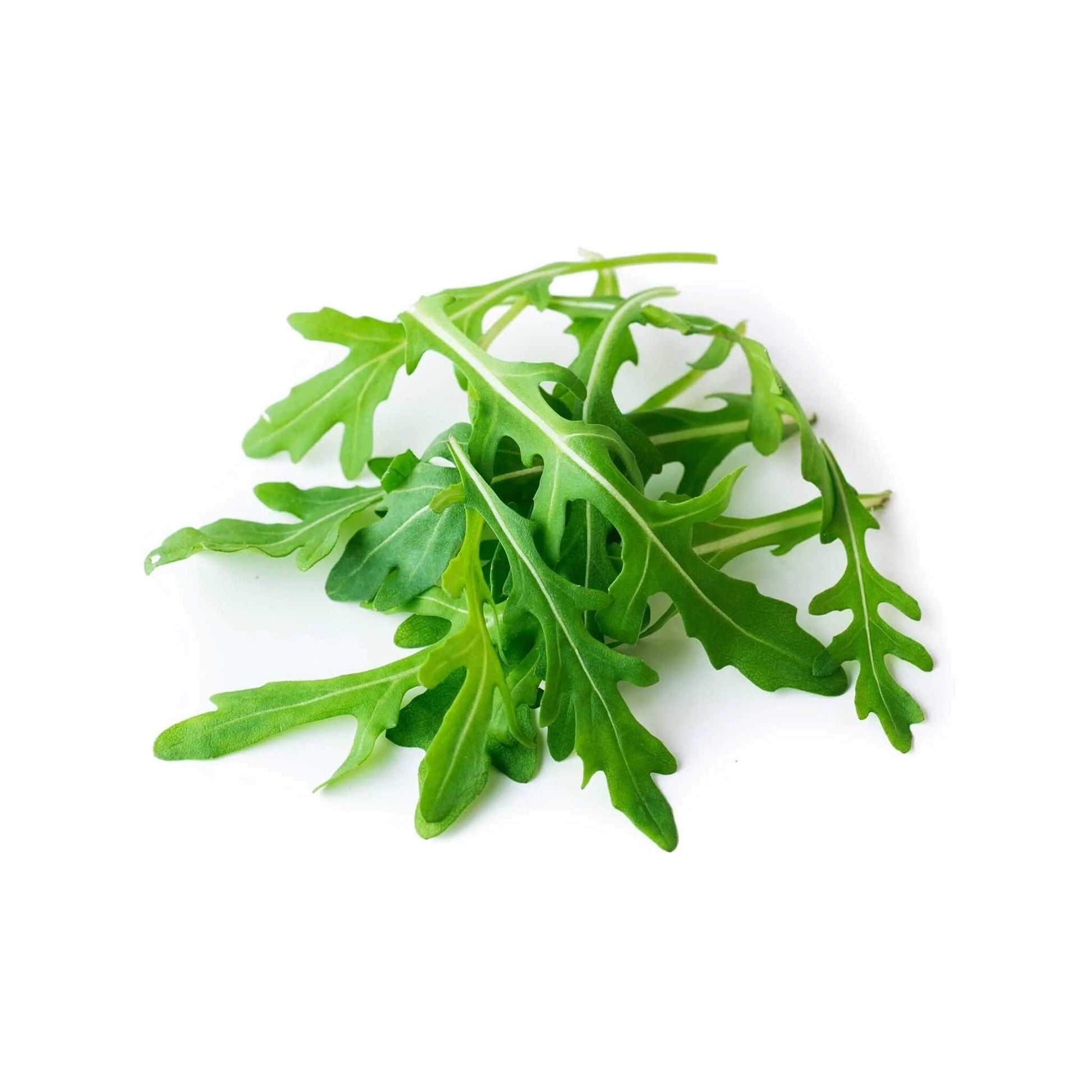 Arugula seeds - Vegetable Plant