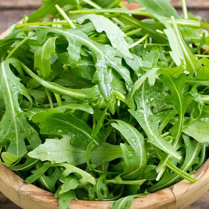 Arugula seeds - Vegetable Plant