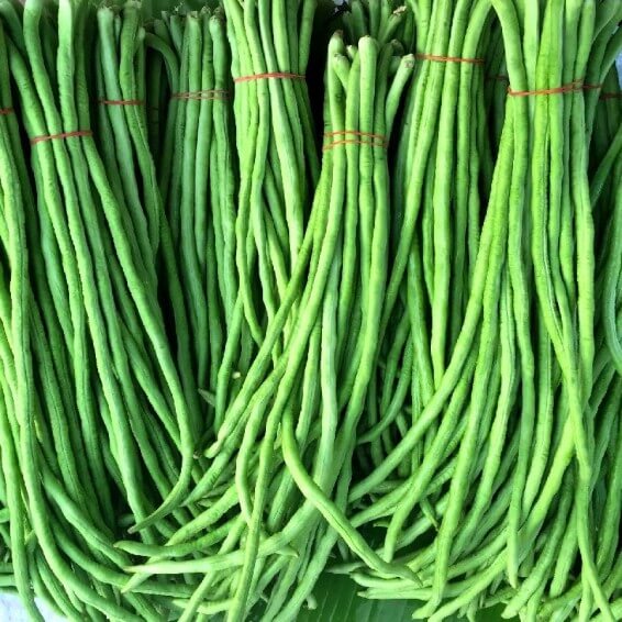 Asian Yard Long Bean Seeds - Vegetable Plant