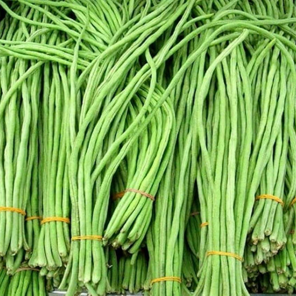 Asparagus Bean Seeds - Vegetable Plant