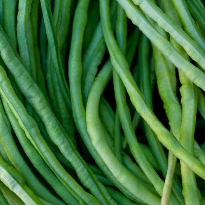 Asparagus Bean Seeds - Vegetable Plant