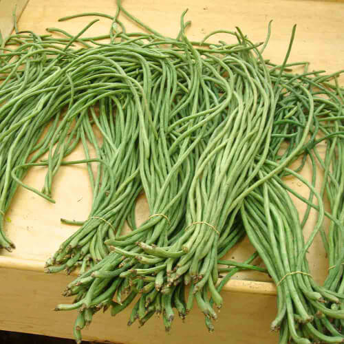 Asparagus Beans Cowpea Seeds 