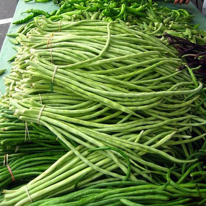 Asparagus Beans Cowpea Seeds 