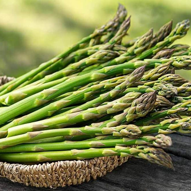 Asparagus seeds - Vegetable Plant