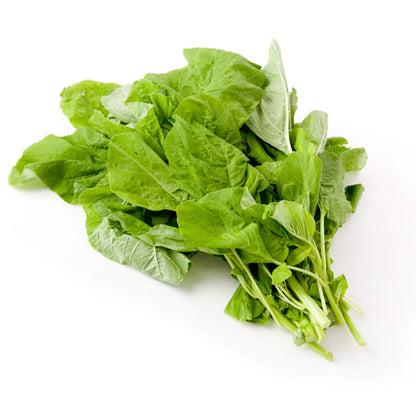 Astro arugula seeds - Vegetable Plant