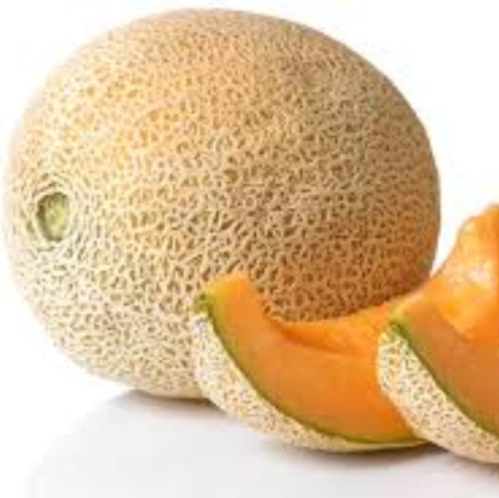 Athena Cantaloupe Seeds - Fruit Plant