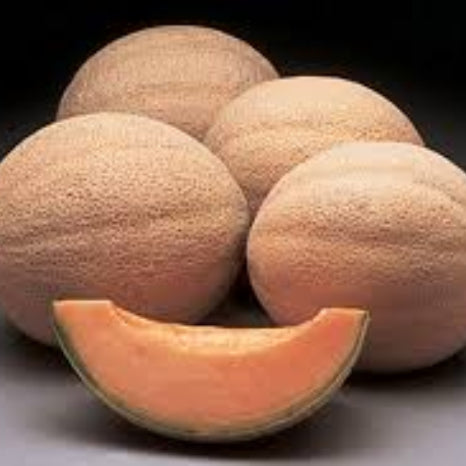 Athena Cantaloupe Seeds - Fruit Plant